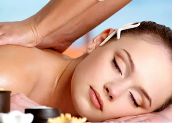 ホテル Taj Hessischer Hof Frankfurt 5*