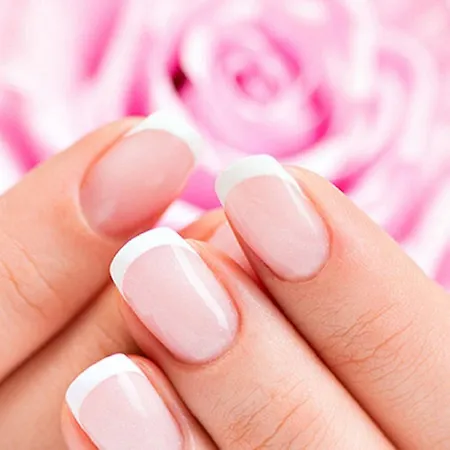 Taj Hessischer Hof Frankfurt 酒店