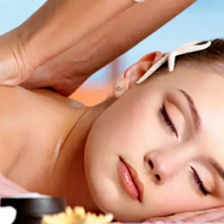 فندق Taj Hessischer Hof Frankfurt 5*