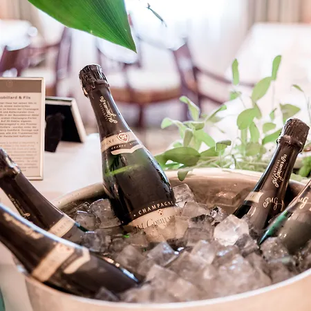 Taj Hessischer Hof Frankfurt 5*