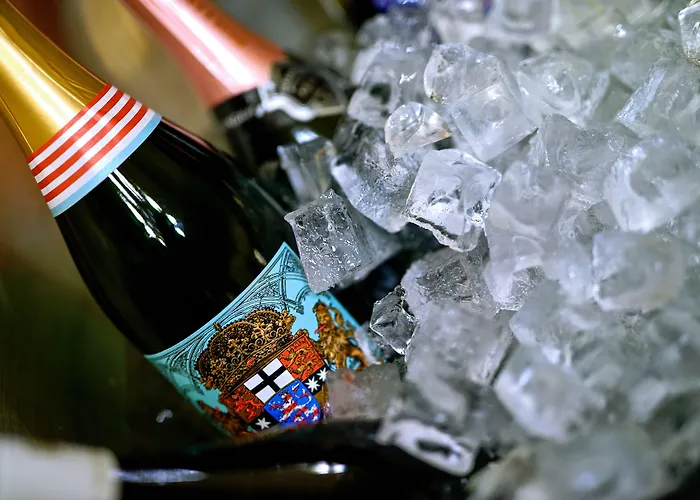 Hotel Taj Hessischer Hof Frankfurt