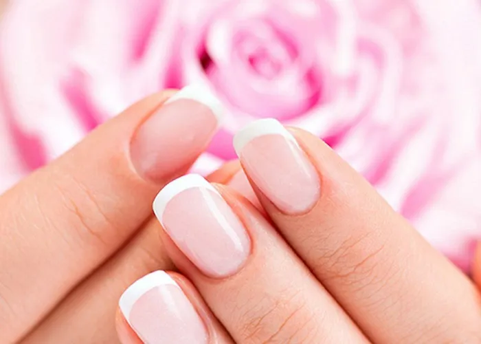 Taj Hessischer Hof Frankfurt מלון