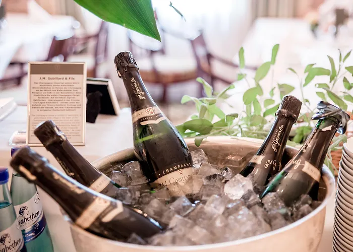 Taj Hessischer Hof Frankfurt 5*